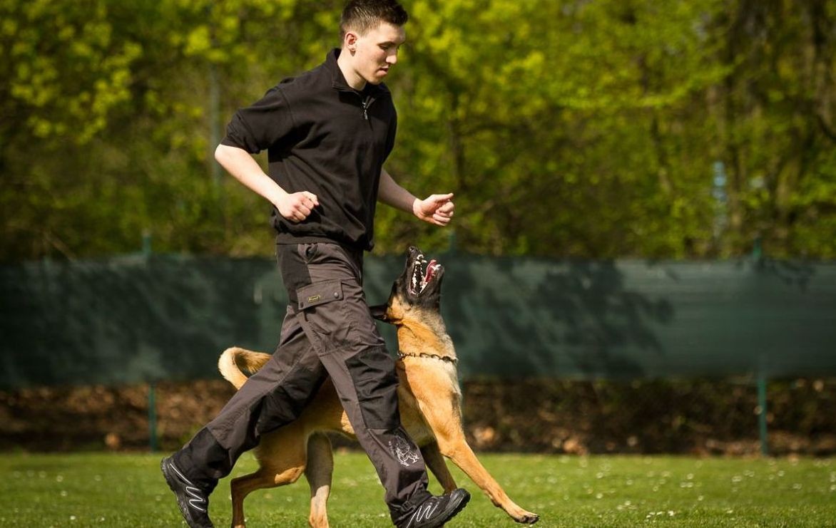 MF1741_2: TECNICAS DE ADIESTRAMIENTO DE BASE APLICADAS A PERROS 2021_23.