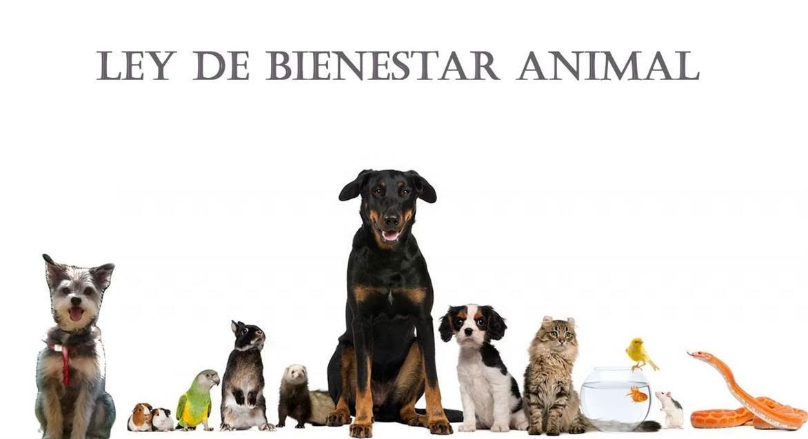 BIENESTAR ANIMAL